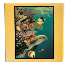 Vtg dolphins ocean for sale  Whiting