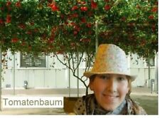 Tomatenbaum reich tragende gebraucht kaufen  Kaiserslautern