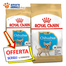 Royal canin dog usato  Serra de Conti