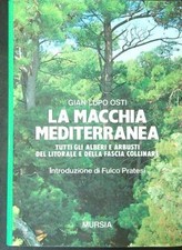 Macchia mediterranea osti usato  Italia