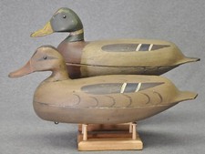 East coast mallard for sale  Monroe