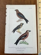Birds vintage antiquarian for sale  Lewisburg