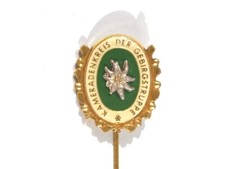 Deutschland 1945 anstecknadel gebraucht kaufen  Speyer