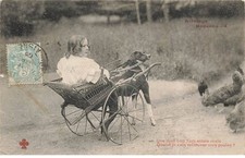 Fg61949 chien voiture d'occasion  France