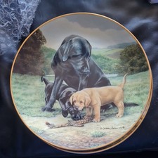 Franklin mint spring for sale  LIVERSEDGE