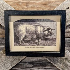 Rustic framed country for sale  Colorado Springs
