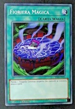 Fioriera magica comune usato  Venezia