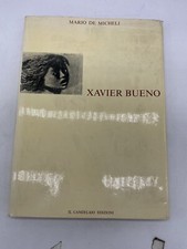 Mario micheli xavier usato  Borgo Mantovano
