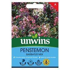 Unwins flower penstemon for sale  WREXHAM