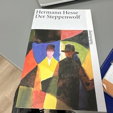hermann hesse steppenwolf gebraucht kaufen  Weil am Rhein
