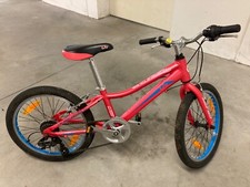 Bicicletta mtb bambina usato  Vallelaghi