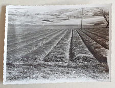 Epoca navelli aquila usato  L Aquila