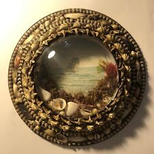 Antique shell diorama for sale  UK