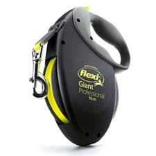 Flexi giant professional usato  Roccagloriosa