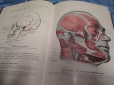 Rauber kopsch lehrbuch gebraucht kaufen  Isernhagen