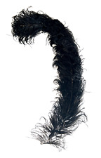 Plume autruche noir d'occasion  Châteauneuf-du-Rhône