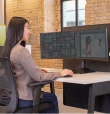 Ergotron dual monitor for sale  Cary