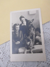 1950 echtphoto hunde gebraucht kaufen  Tharandt