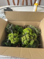 oo gauge trees for sale  BRAINTREE