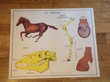 1950 affiche rossignol d'occasion  Champigneulles