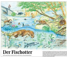 Poster fischotter gebraucht kaufen  Mönchengladbach
