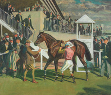 Winner epsom equestrian for sale  SUTTON COLDFIELD