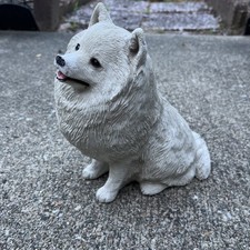 american eskimo dog for sale  Raynham