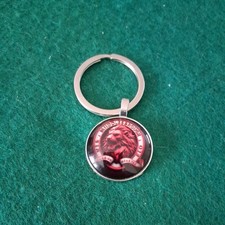 Middlesbrough keyring. for sale  GATESHEAD