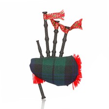 Musical bagpipe magnet gebraucht kaufen  Neustadt am Rübenberge