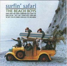 Beach boys surfin for sale  ORPINGTON