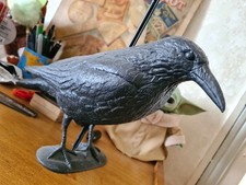 Corbeau grandeur nature d'occasion  Rodez