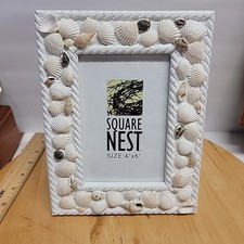 Square nest seashell for sale  Cartersville
