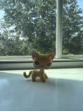 Hasbro lps shorthair for sale  Roanoke