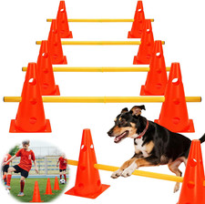Agility set per usato  Roma