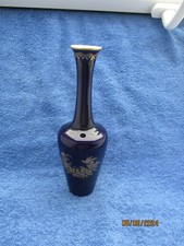 Heinrich porzellan vase gebraucht kaufen Heinrich porzellan vase gebraucht kaufen  Neustadt a.d.Waldnaab