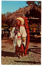 Seminole indian native for sale  Lakewood