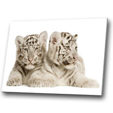 Animal canvas prints for sale  STRABANE