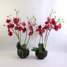 decorative orchids pots for sale  Mcminnville