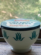 Vintage sealtest fire for sale  Naugatuck
