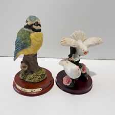 Garden birds doves for sale  WARRINGTON