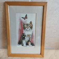 lovely kittens for sale lovely kittens for sale COVENTRY