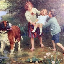 1925 bernard dog for sale  Dayton