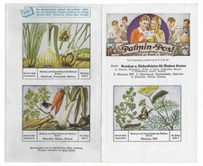 Sammelbilder palmin kompletter gebraucht kaufen  Herzberg