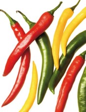 Paprika pepperoni cayenne gebraucht kaufen  Griesheim