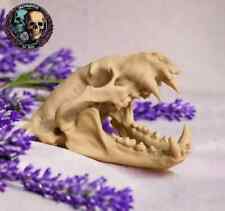 Printed badger skull for sale  CHATTERIS