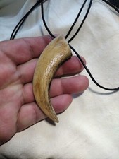 Grizzly bear claw for sale  Woburn