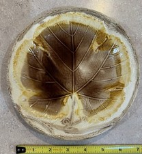 Antique majolica chestnut for sale  Coralville