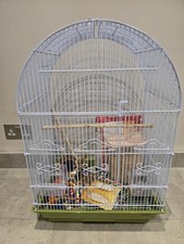 Budgie cage for sale  HORNCHURCH