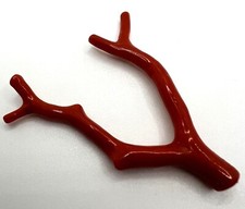 Sardinische koralle ast gebraucht kaufen  Hamburg