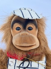Hosung orangutan monkey for sale  Pompton Lakes